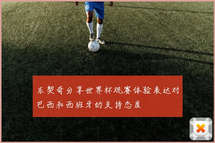 东契奇分享世界杯观赛体验表达对巴西和西班牙的支持态度