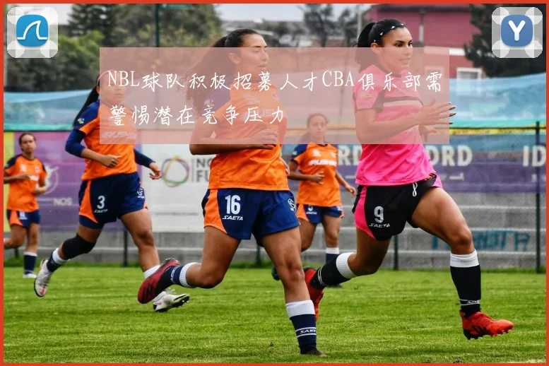 NBL球队积极招募人才CBA俱乐部需警惕潜在竞争压力